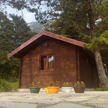 Iliria Tiny House Llogora Orikum Exterior foto