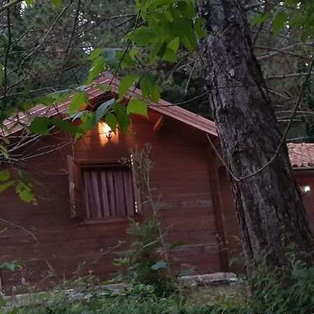 Iliria Tiny House Llogora Orikum Exterior foto