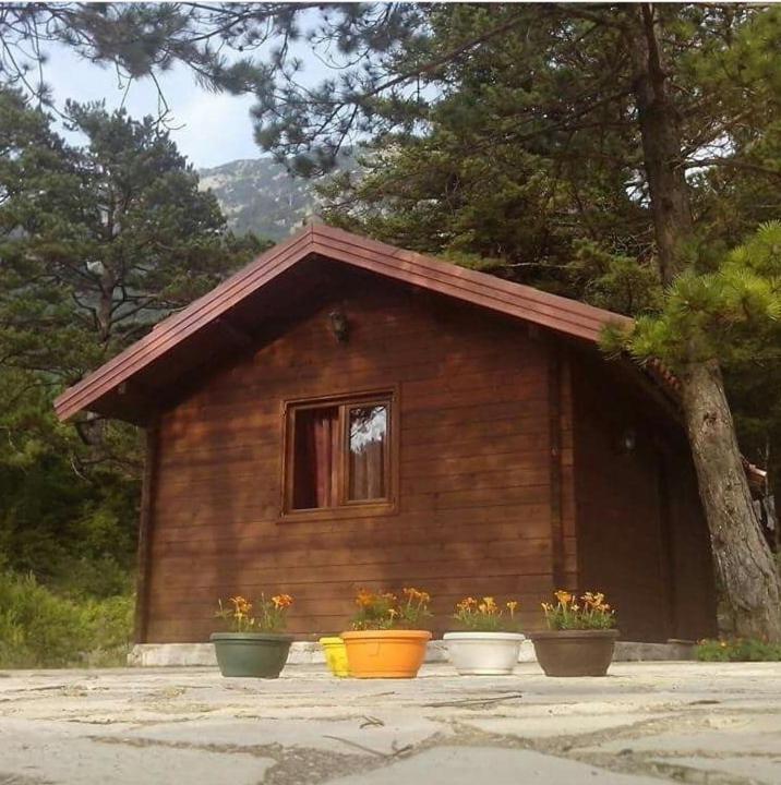 Iliria Tiny House Llogora Orikum Exterior foto