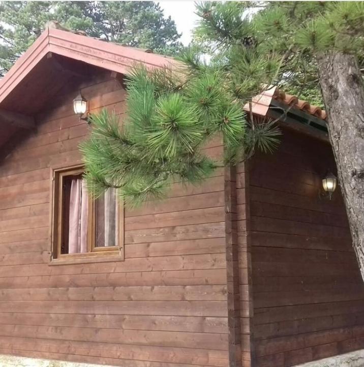 Iliria Tiny House Llogora Orikum Exterior foto
