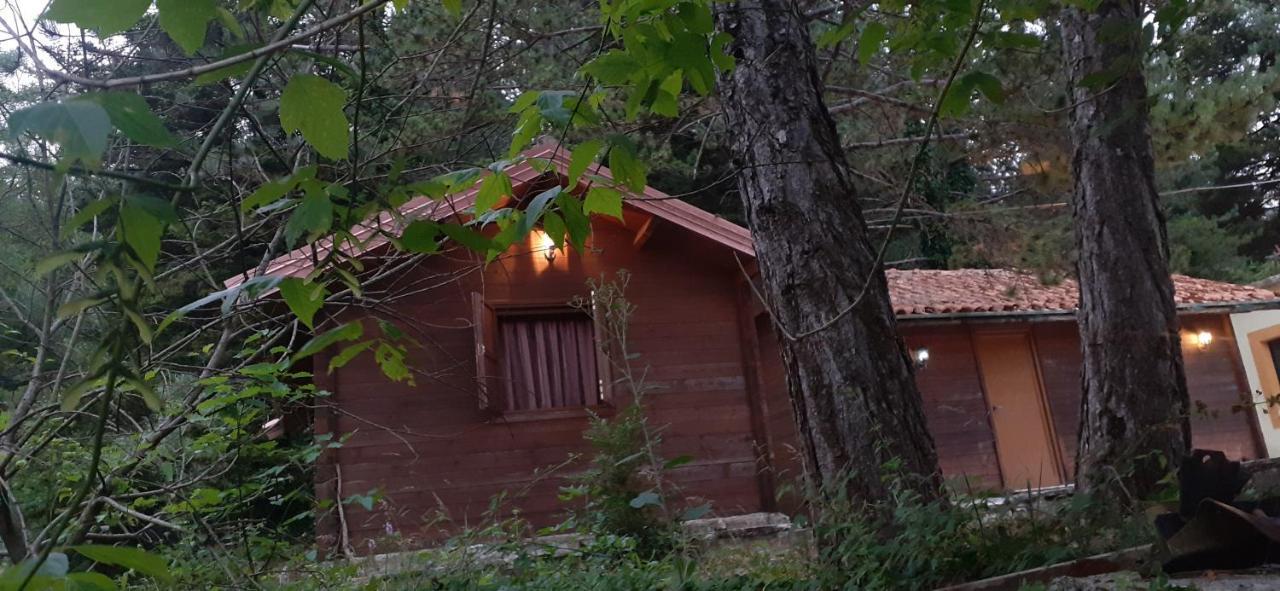 Iliria Tiny House Llogora Orikum Exterior foto